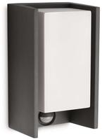 Philips 915003762102, Philips Bridge 16352/93/16 - Au&szlig;enwandleuchte