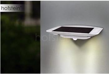 OSMOT Eco-Light Solar-Außenwandleuchte mit Bewegungsmelder 2.4W Neutral-Weiß Ghost Solar Silber (P9014SI)