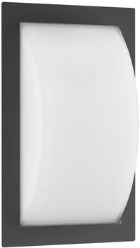 LCD Wandleuchte 51 ohne Bewegungsmelder graphit