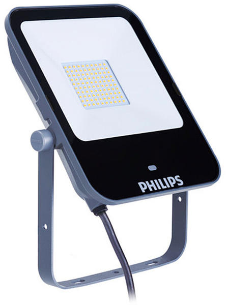 Philips LED floodlight 50 W