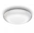 silber (035495)