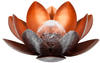 Dehner Solar-Lotus rot