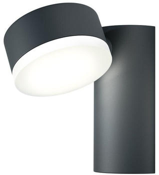LEDVANCE LED-Wandleuchte Endura dunkelgrau/weiß 8W/(214095)