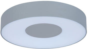 Lutec LED Außenwand- und Deckenleuchte Ublo aus Aluminiumdruckguss in Grau 263 mm grau