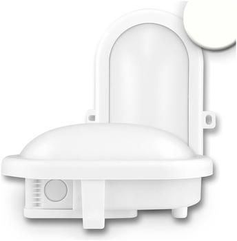 ISOLED LED Kellerleuchte, 10W, IP44, weiß, neutralweiß weiß