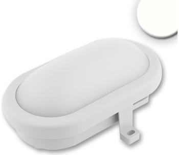 ISOLED LED Kellerleuchte mit HF-Bewegungssensor 10W, IP54, weiß, neutralweiß, weiß