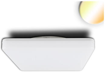ISOLED LED Decken/Wandleuchte 24W, quadratisch, IP54, ColorSwitch 3000K|4000K, weiß weiß