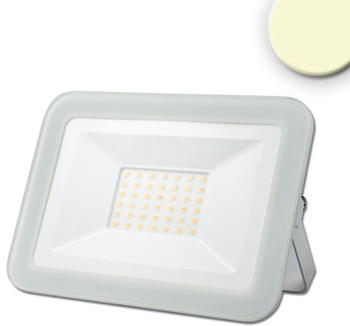 ISOLED LED Fluter Pad in Weiß 31W 3020lm 3000K IP65 weiß