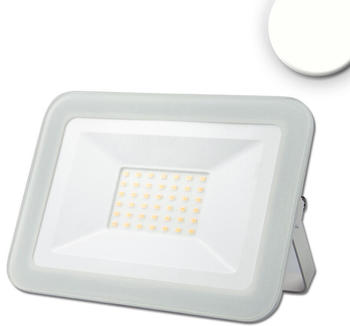 ISOLED LED Fluter Pad in Weiß 31W 3120lm 4000K IP65 weiß