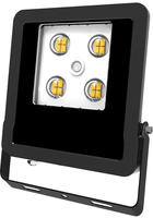 EVN Lichttechnik LED-Fluter LFE100902