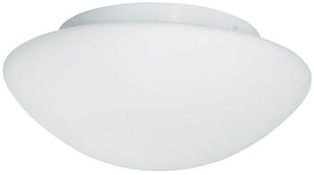 Searchlight Glas-Außenwandleuchte Wayne 28 cm IP44