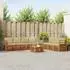vidaXL Garten-Lounge-Set 8-tlg. Akazienholz Natur/Beige (3374473)