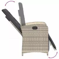 vidaXL 9-tlg. Garten-Essgruppe mit Kissen Hellgrau Poly Rattan