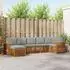 vidaXL Garten-Loungeset mit Kissen 7-tlg. Naturgrau und Hellgrau (3375176)