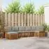 vidaXL Garten-Sofa-Set Sektional mit Kissen 7-tlg., Natur- und Hellgrau (3375151)