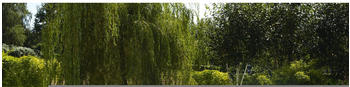 Greemotion Olea Polyrattan Garten Lounge-Gruppe 5-teilig grau (131867)