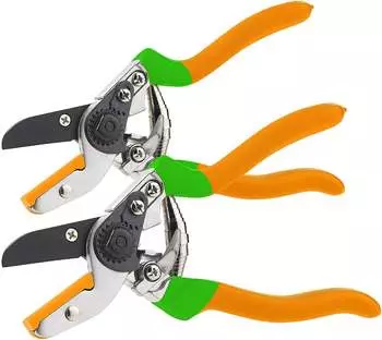 Royal Gardineer 2er-Set Amboss-Gartenscheren 21,5 cm (NX-7789-675)