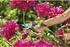 Gardena EcoLine (12210-20)