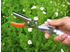 Stocker Telescopic swivel scissors 603