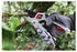Spear & Jackson Ratchet pruner 2-in-1 25 mm