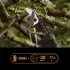 Fiskars Bypass Schneidgiraffe (1082340)