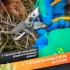 Grüntek Amboss Schere Bussard Artikel Nr. 295.202.018