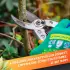 Grüntek Amboss Schere Bussard Artikel Nr. 295.202.018