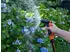 Black & Decker Verstellbare Spritzpistole für Gartenschlauch mit Einstellbarer Wasserfluss - Ergonomischer Griff - Kunststoff - Schwarz/Orange (2570445)