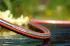 Gardena PVC-Schlauch Premium SuperFlex 1/2