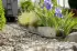 Gardena Liano Xtreme 1/2 25 m Set (25 m 13 mm) (18475-20)