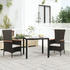 vidaXL Gartenstuhl mit Kissen 2er Set Polyrattan schwarz (319525)