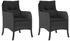 vidaXL Garden Chair 2-Pcs (36514)
