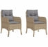 vidaXL Garden Chair 2-Pcs (36514)