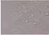 Proregal Anthrazit Metall 2-Sitzer 61x82x57 cm