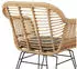 Idimex PARAMO aus Polyrattan moderner Esszimmerstuhl in Rattan Optik Küchenstuhl mit Sitzkissen Korbstuhl mit robustem Metallgestell