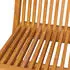 vidaXL Gartenstühle Massivholz Teak grüne Kissen 2er-Set (3062465)
