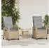 vidaXL Gartenstuhl 2 Stk Beige und Hellgrau 56 x 60 x 112 cm 42026833