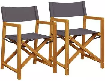 vidaXL Regiestuhl Klappstuhl 2er-Set Dunkelgrau Stoff (365838)