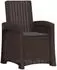 vidaXL Garten-Liegesessel Rattan-Optik PP, braun/anthrazit (8012005)
