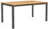 Ambia Garden Plano Gartentisch ausziehbar bis 210 cm Holz natur-anthrazit (AF-T-005E)