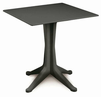 IPAE-ProGarden Ponente 70x70 cm anthracite