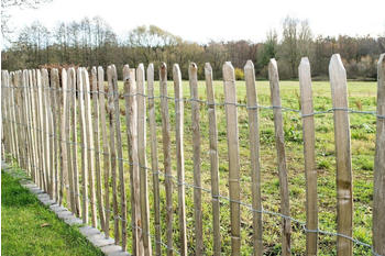 Stiltreu Staketenzaun 75cm x 5m (ST-31100022)