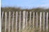 Stiltreu Staketenzaun 75cm x 5m (ST-31100022)