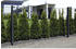 Floraworld Zaunpfosten 6 x 4 x 160 cm grau