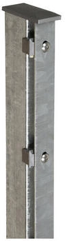 Floraworld Premium 6 x 200 x 4 cm silber