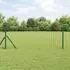vidaXL Eurozaun Grün 0,8 x 25 m PVC-beschichtetes Eisen (42004396)