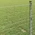 vidaXL Eurozaun 0,6 x 50 m PVC-beschichtetes Eisen (42004731)