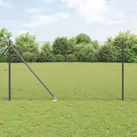 vidaXL Schwei&szlig;drahtzaun mit Spikes 10 x 1 m (B x H)
