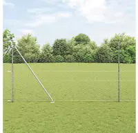 vidaXL Schwei&szlig;drahtzaun mit Spikes 100 x 1,6 m (B x H)