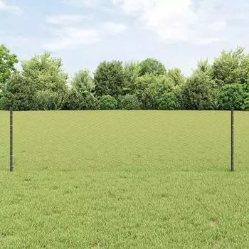 vidaXL Geschwei&szlig;ter Drahtzaun 10 x 0,6 m (3336814)